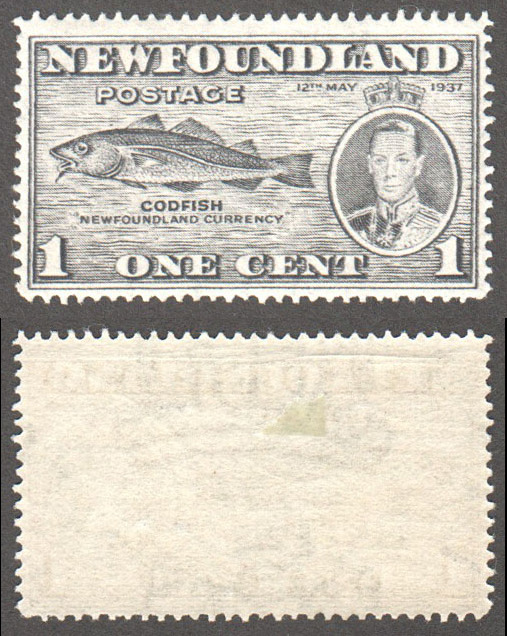 Newfoundland Scott 233var Mint VF (P14.1) (P) - Click Image to Close